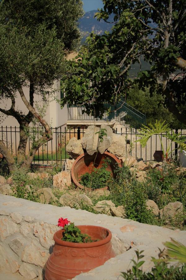 Nikoleta'S Studios Argostoli  Esterno foto