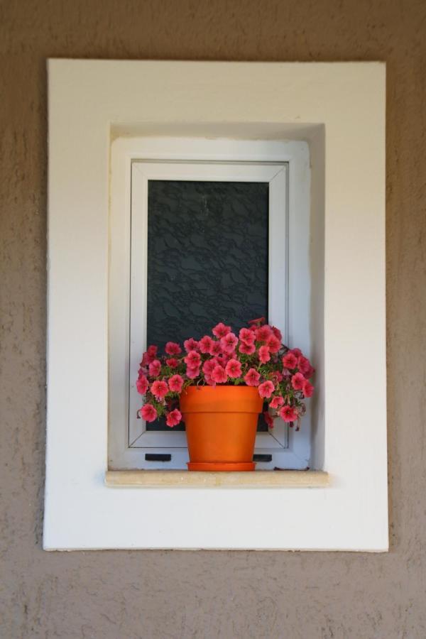 Nikoleta'S Studios Argostoli  Esterno foto